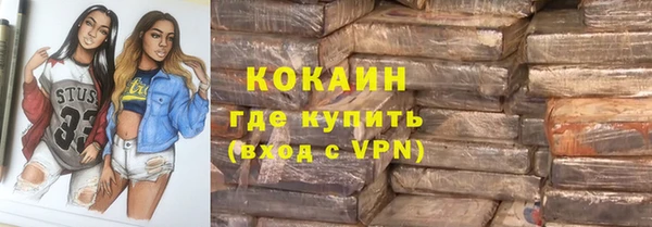 гидра Михайловка